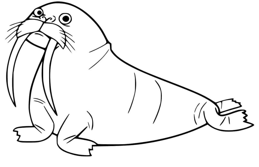 Desenho de Morsa para Colorir
