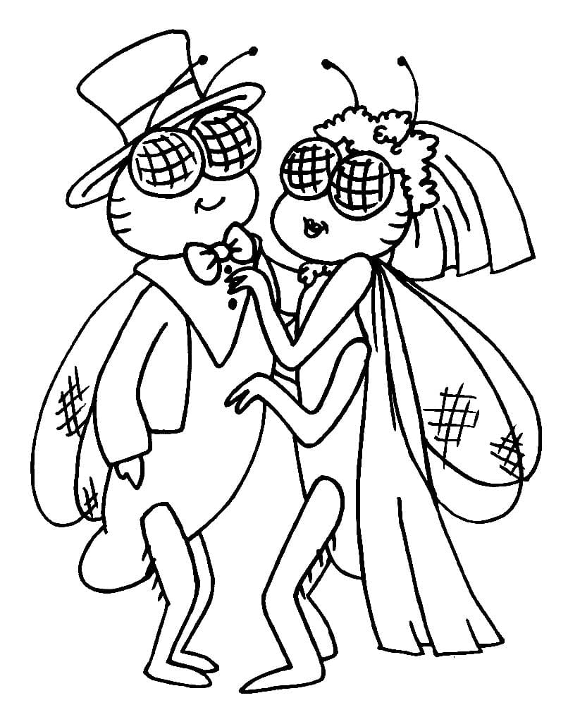 Desenho de Duas Moscas para Colorir