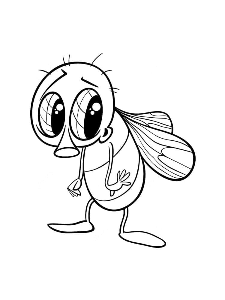 Desenho de Moscá Adorável para Colorir