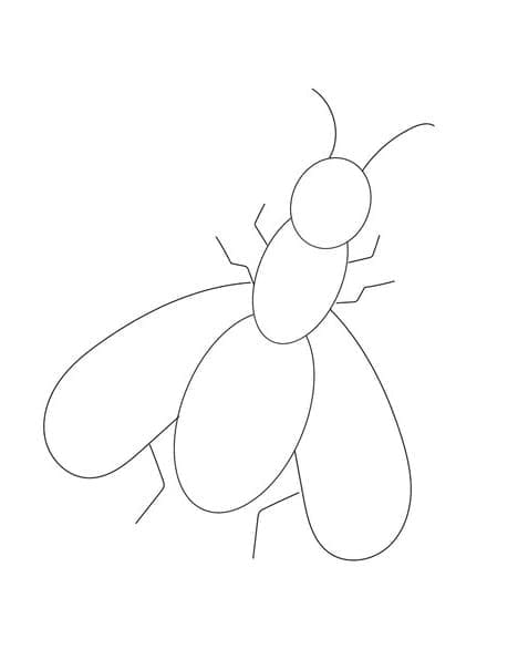 Desenho de Moscá Fácil para Colorir