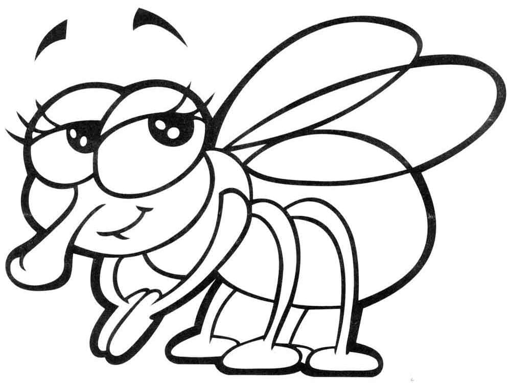 Desenho de Moscá Fofa para Colorir