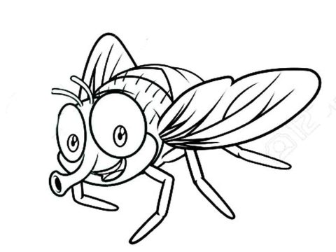 Desenho de Mosca Sorridente para Colorir