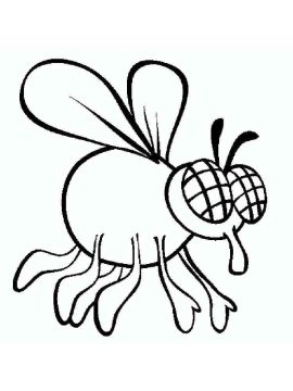 Desenho de Mosca Voadora para Colorir