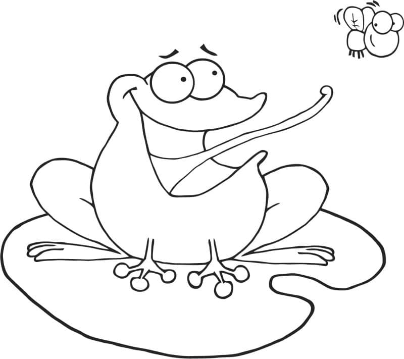 Desenho de Sapo e Moscá para Colorir