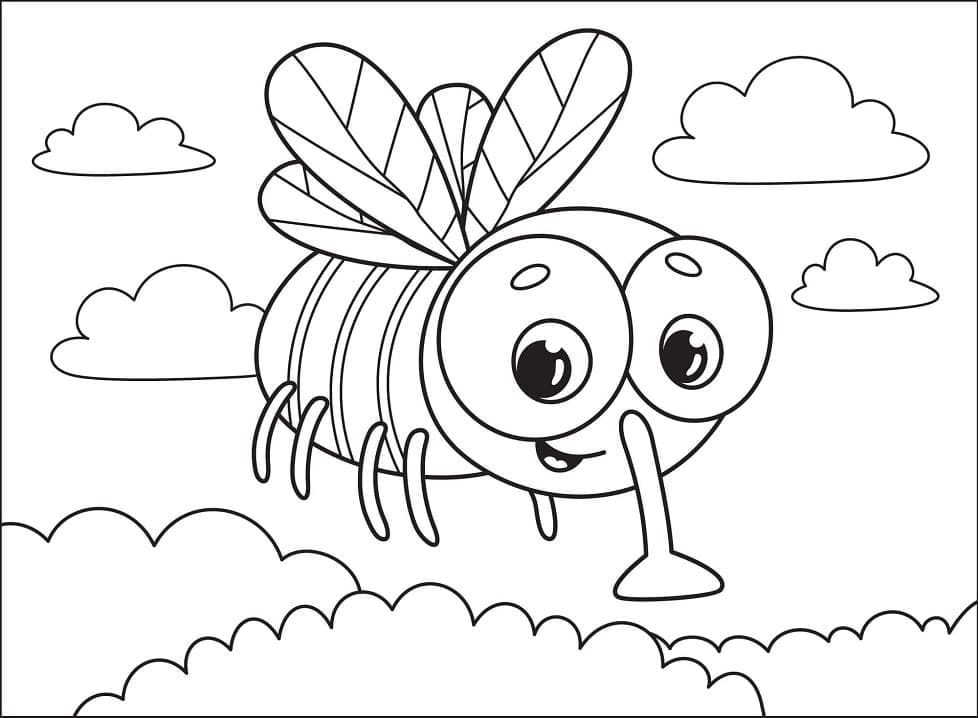 Desenhos de Mosca para Colorir