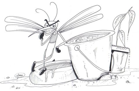 Desenhos de combatê Ao Mosquito da Dengue para Colorir