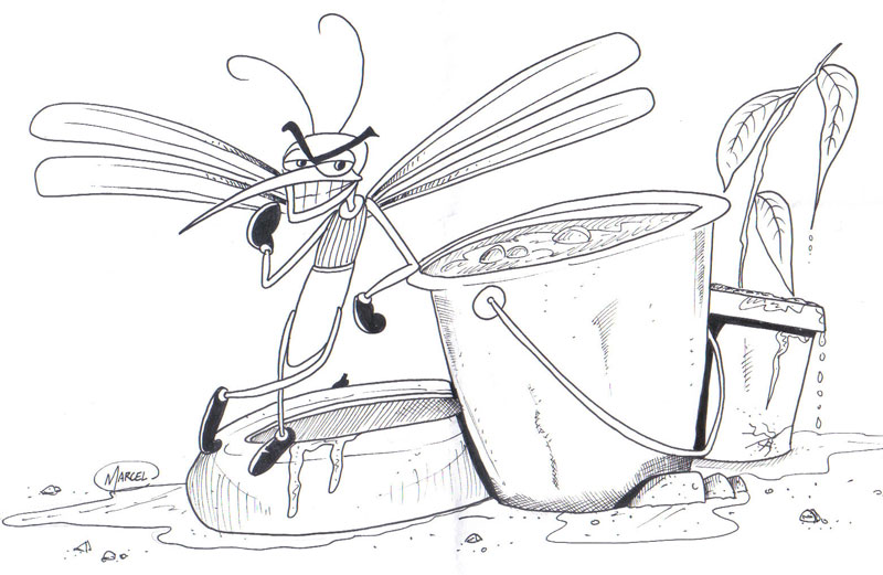 Desenhos de Combatê ao Mosquito da Dengue para Colorir
