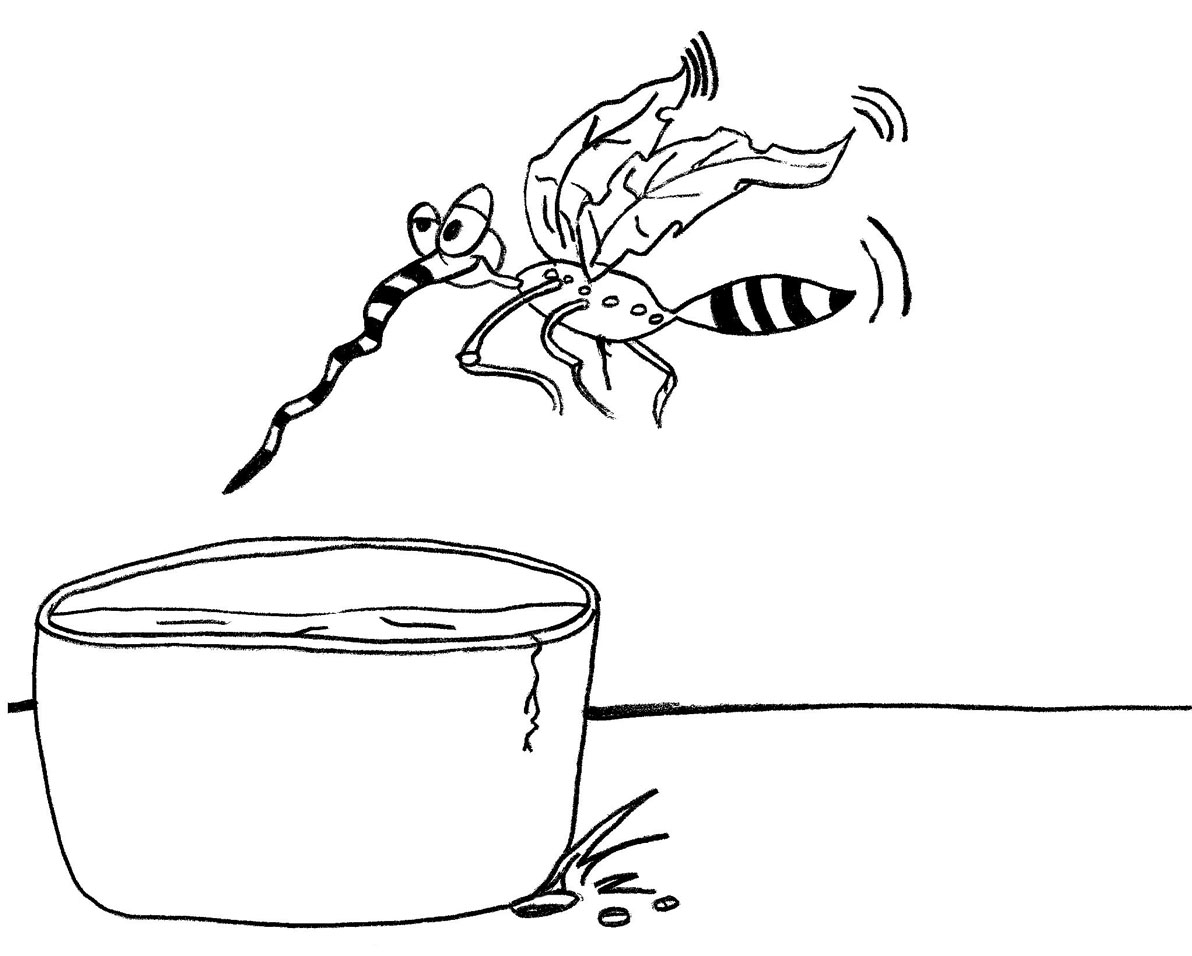 Desenhos Mosquito da Dengue para Imprimir
