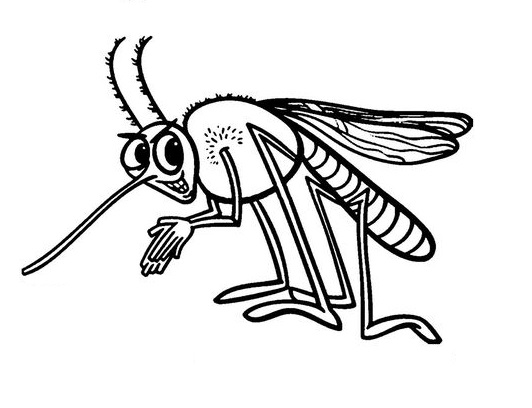 Mosquito da Dengue Desenho
