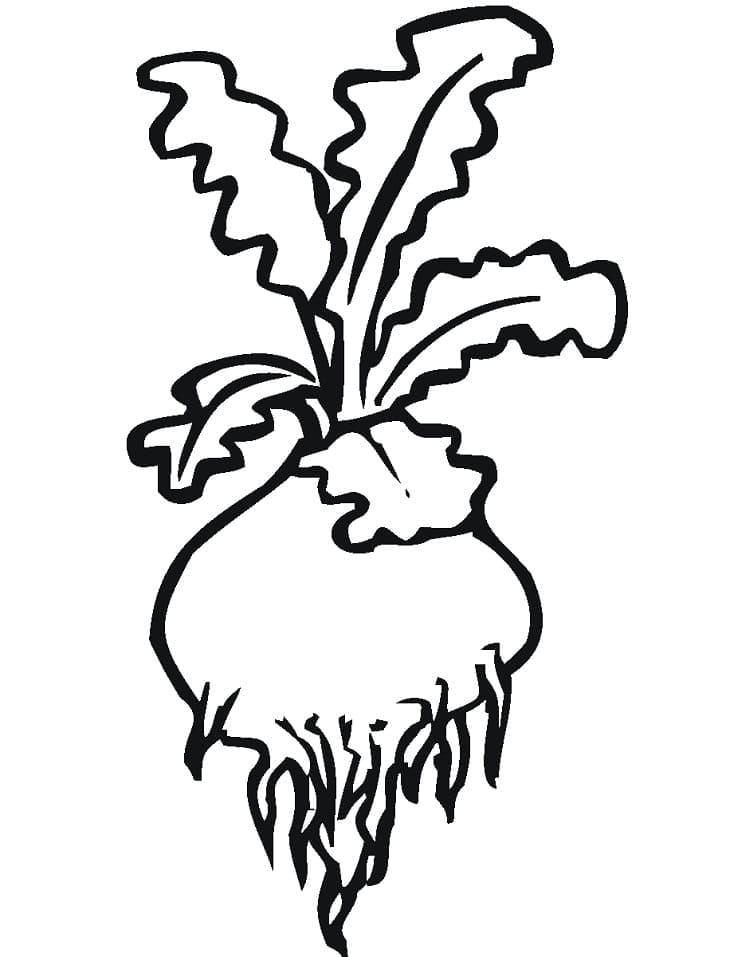 Desenho de Nabo Atividade para Imprimir