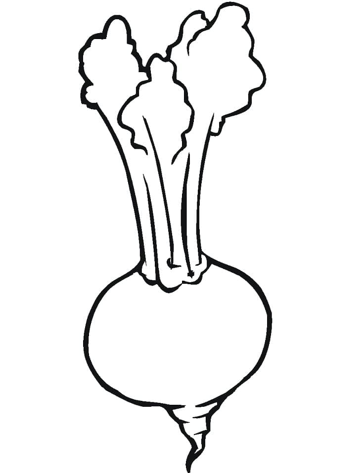 Desenho de Nabo Desenhos para Imprimir
