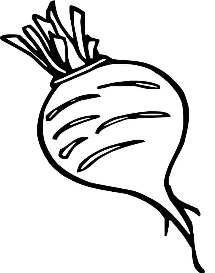 Desenho de Nabo Imagens para Colorir