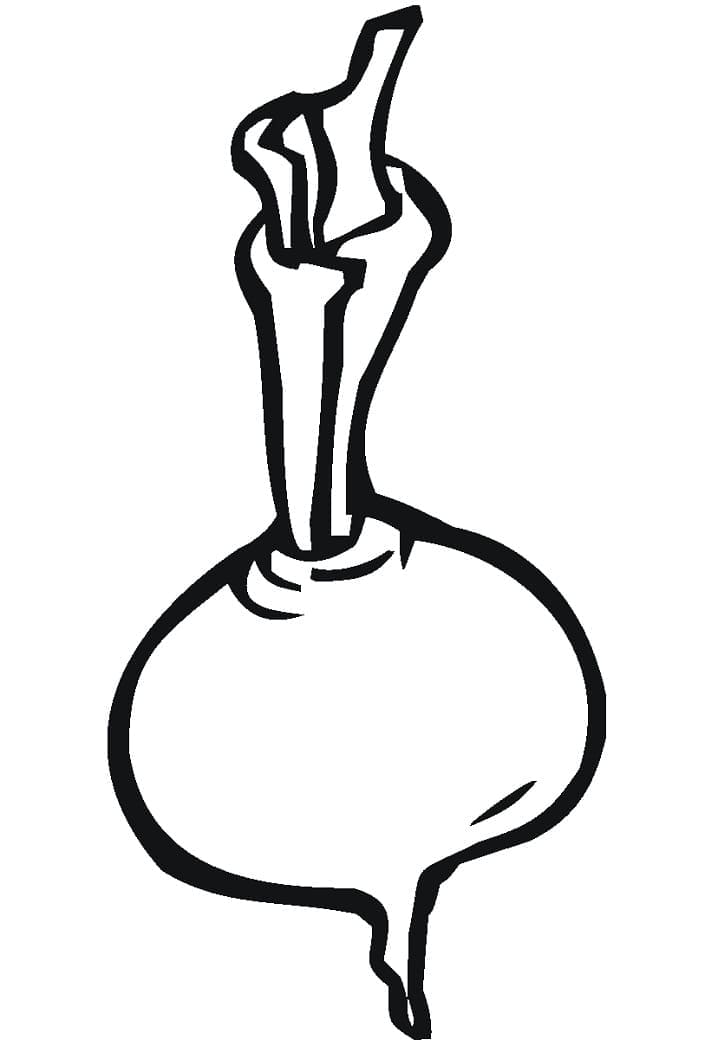 Desenho de Nabo Imprimivel