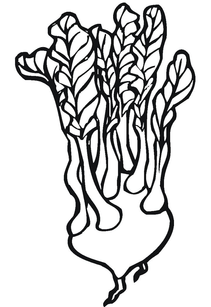 Desenho de Nabo Infantil para Colorir