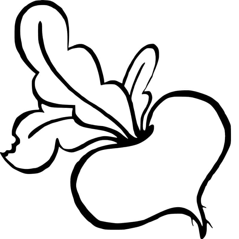 Desenho de Nabo para Colorir Grátis