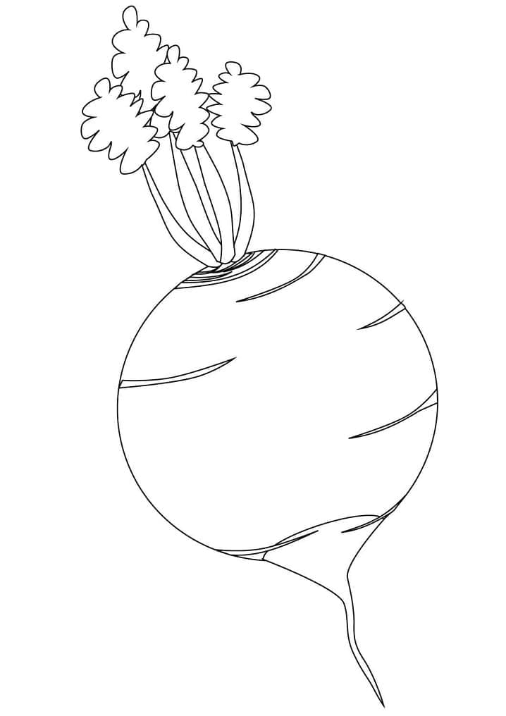 Desenho de Nabo para Colorir