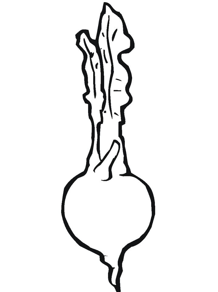 Desenho de Nabo para Pintar Pdf