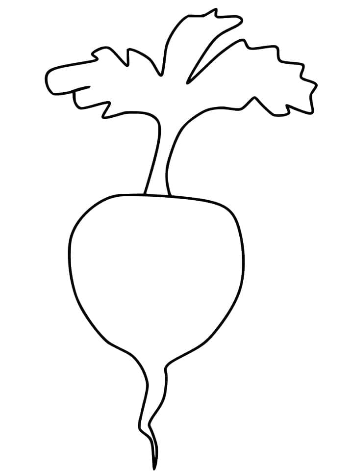 Desenhos de Nabo para Colorir
