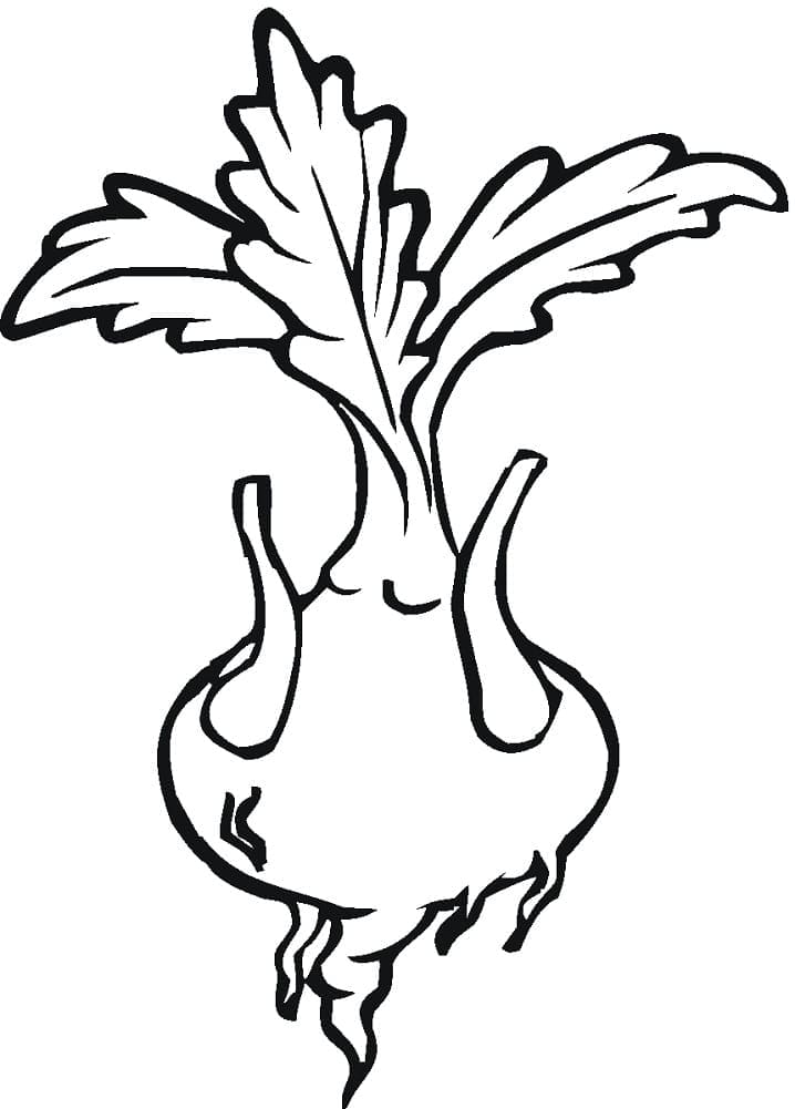Desenho de Nabo Pintar Grátis