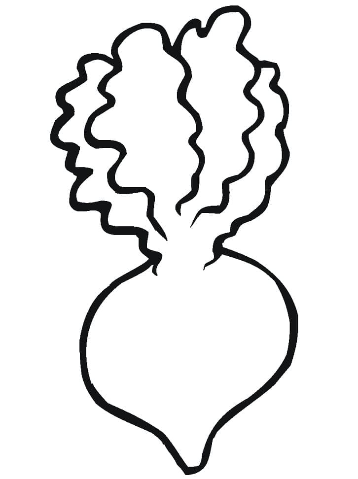 Desenho Nabo Fácil para Colorir