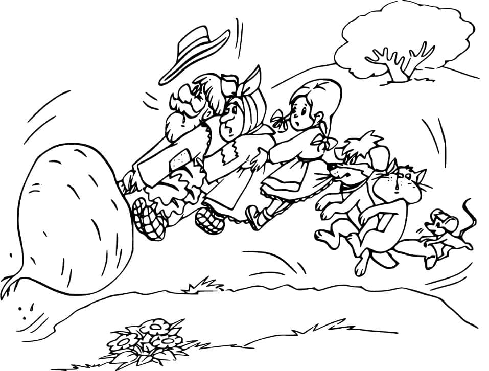 Desenho Nabo Gigante para Colorir