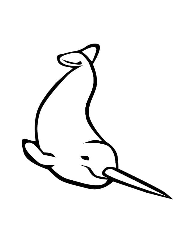 Desenho de Narval Infantil para Colorir