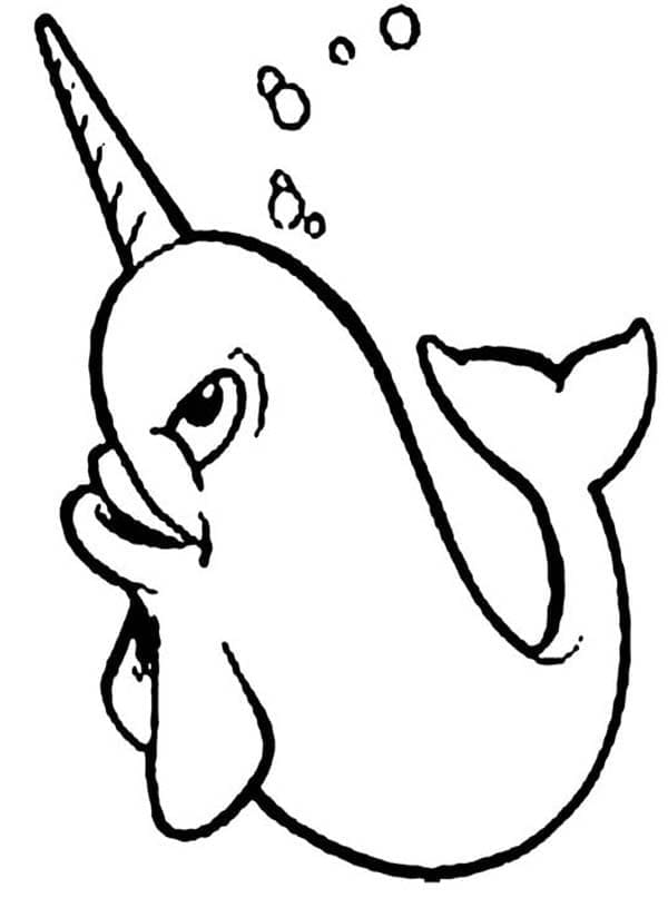 Desenho de Narval para Imprimir