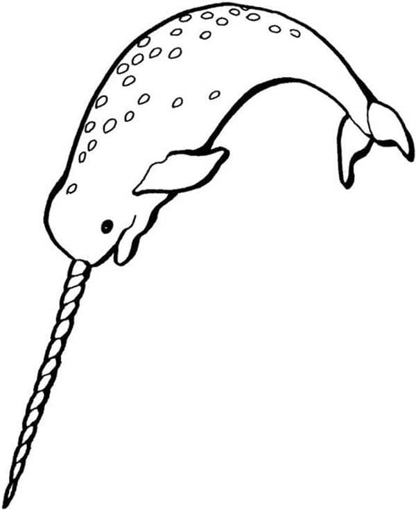 Desenho de Narval Pdf Grátis