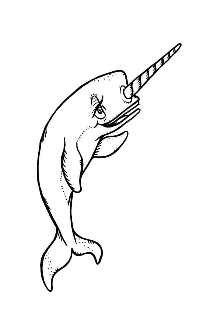 Desenho de um Narval para Colorir