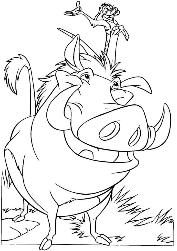 Desenho Pumba e Timon para Colorir
