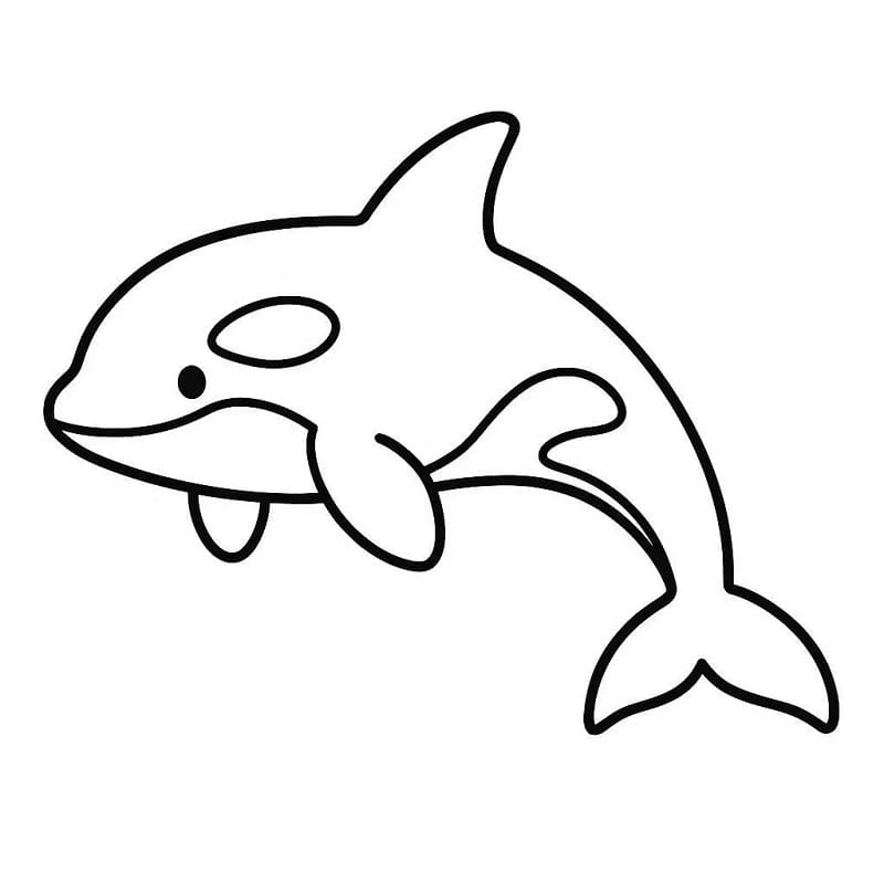 Desenho de Baleia Orca para Colorir