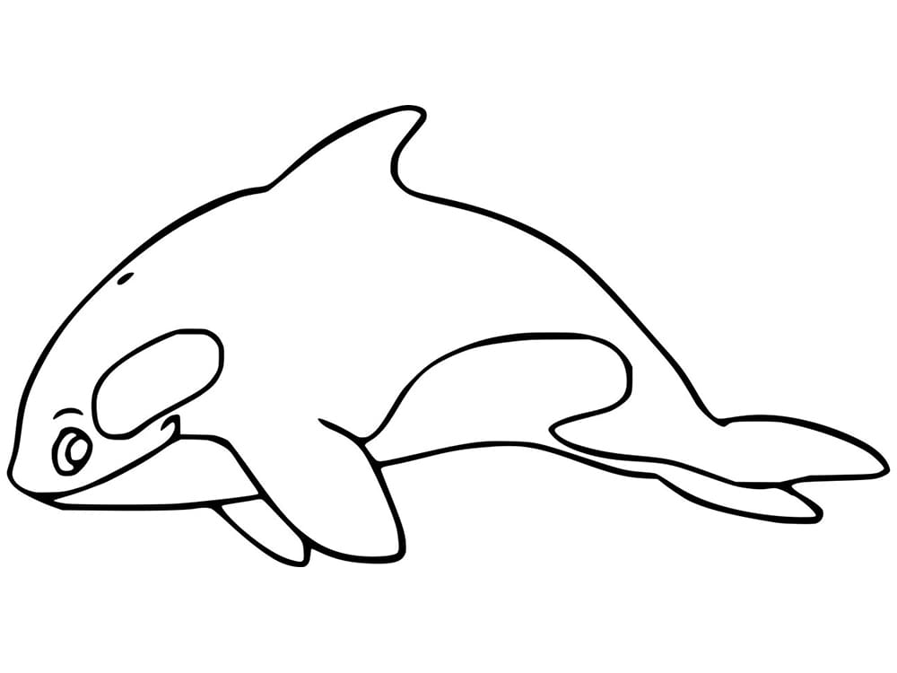 Desenho de Grátis Orca para Crianças para Colorir