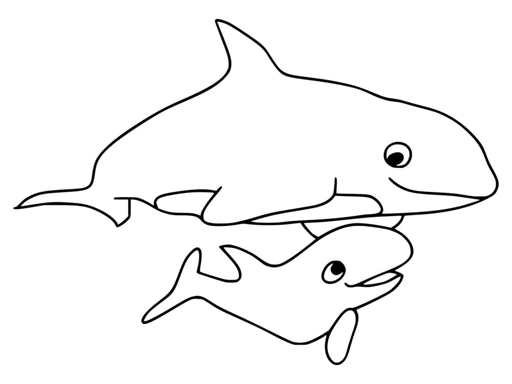 Desenho de Imprimivel Orca para Crianças para Colorir
