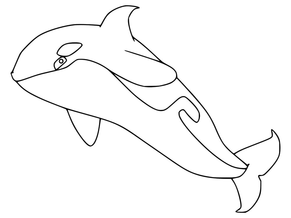 Desenho de Imprimivel Orca para Colorir