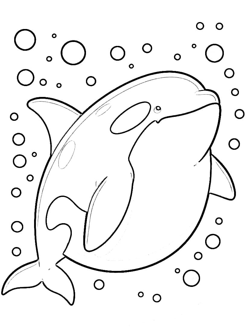 Desenho de Orca Engracada para Colorir