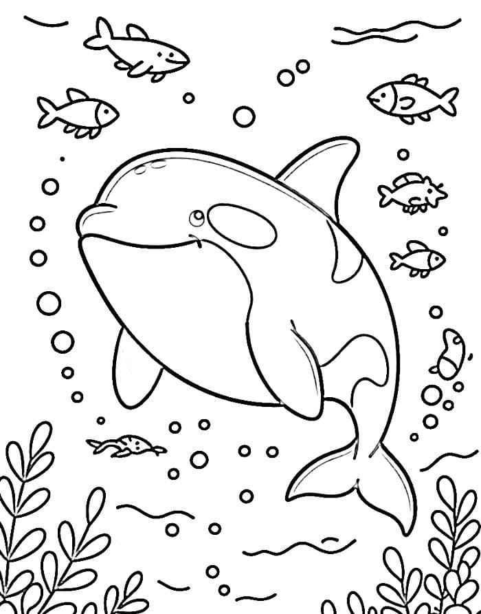 Desenho de Orca Feliz para Colorir