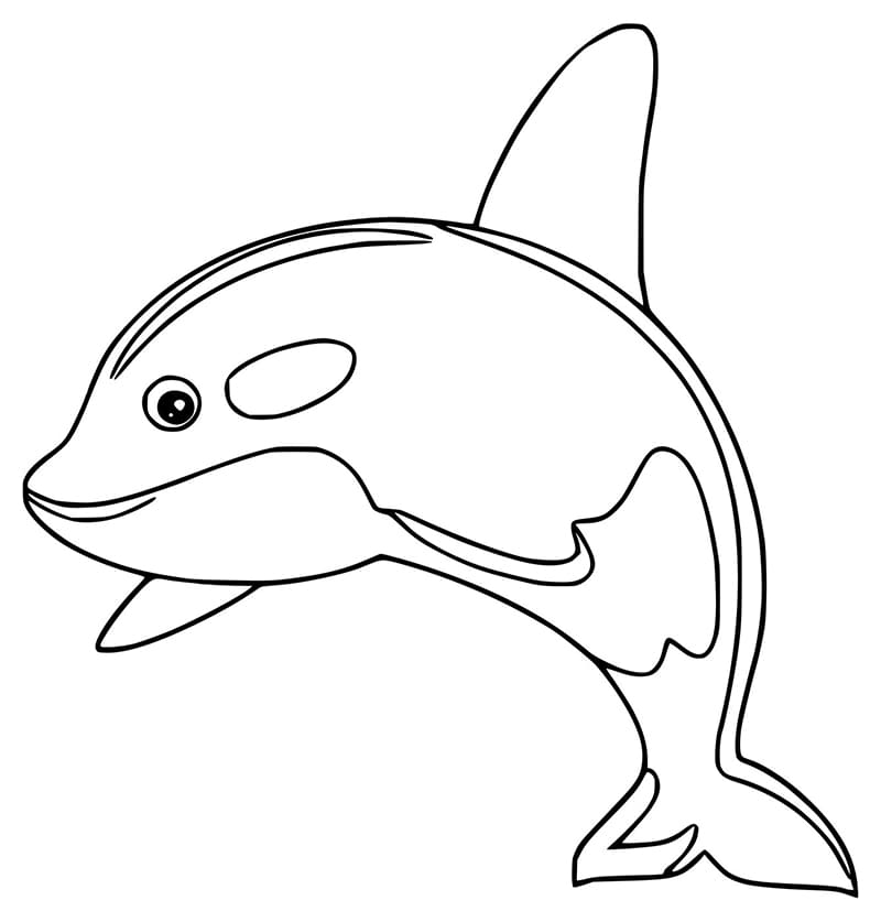 Desenho de Orca Fofa para Colorir
