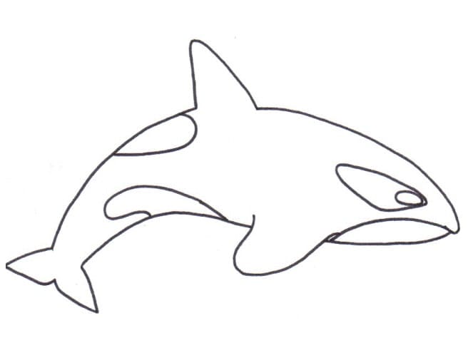 Desenho de Orca Imprimivel Grátis para Crianças para Colorir