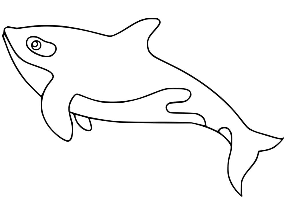 Desenho de Orca Imprimivel Grátis para Colorir