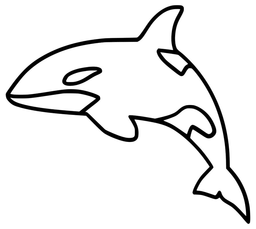 Desenho de Orca Imprimivel para Crianças para Colorir