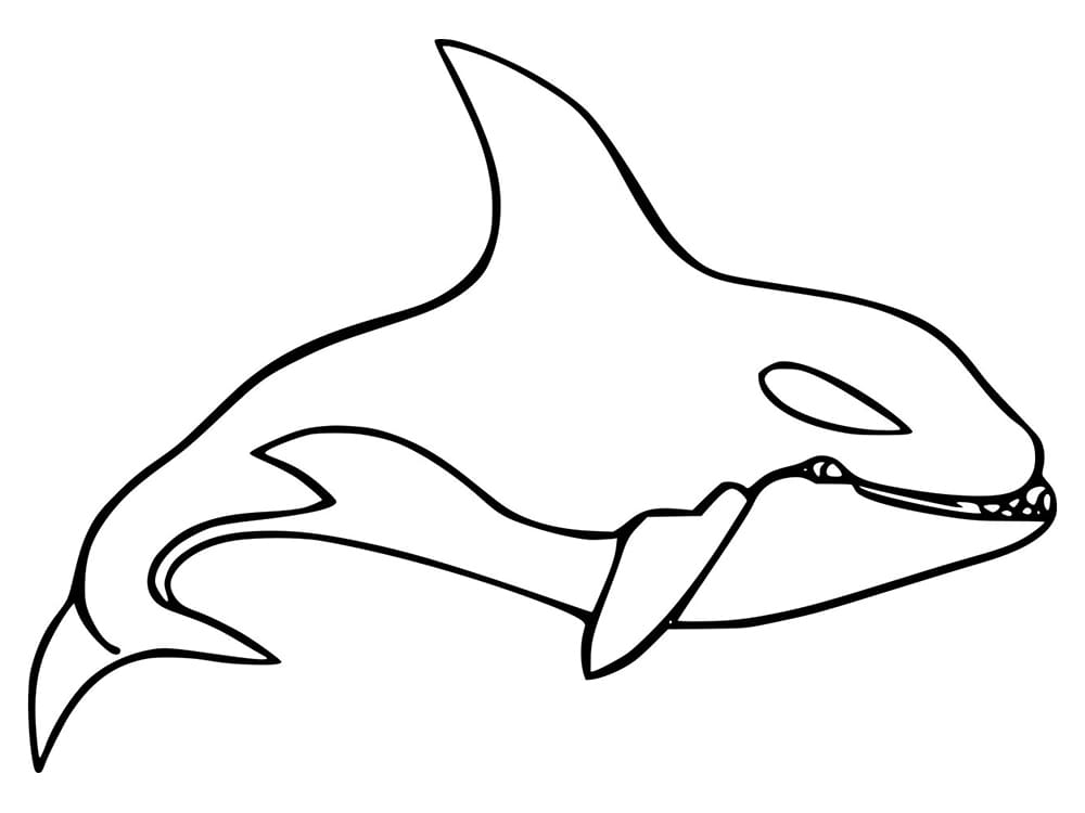 Desenho de Orca para Crianças de 3 Anos para Colorir