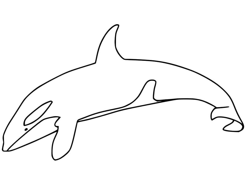 Desenho de Orca para Crianças de 4 Anos para Colorir