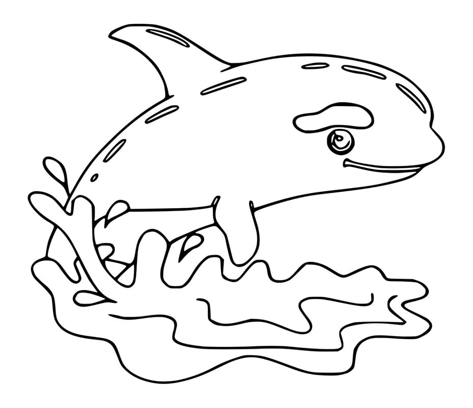 Desenho de Orca para Crianças para Colorir