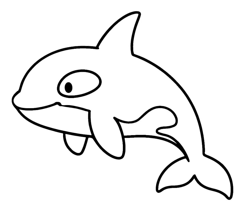 Desenho de Orca Simples para Colorir