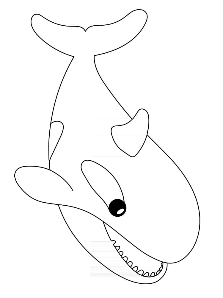 Desenho de Orca Muito Fofa para Colorir