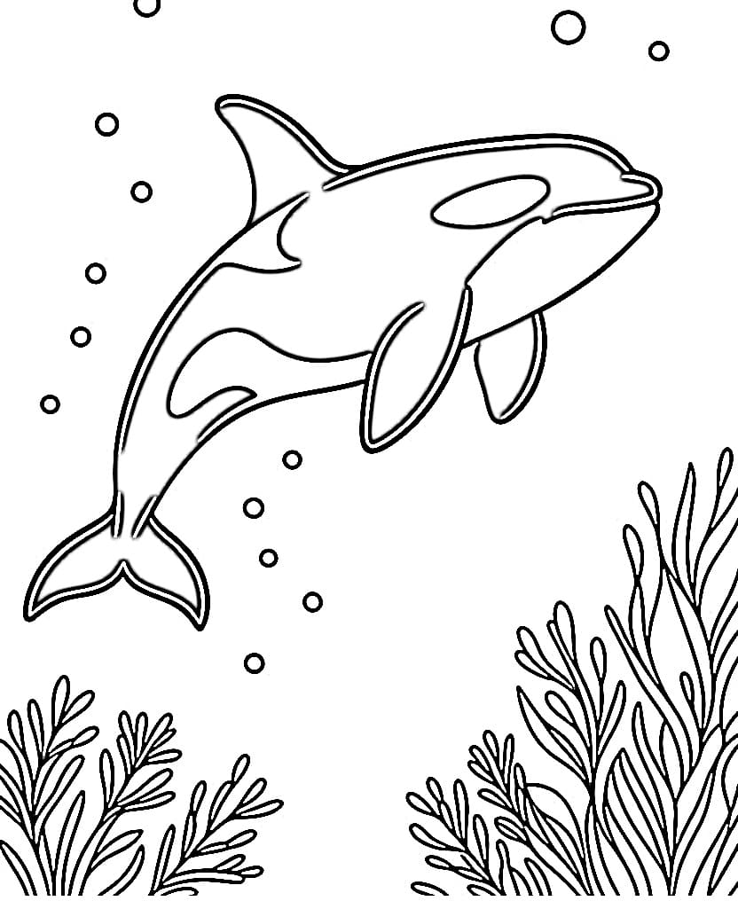 Desenho de Orca no Fundo do Mar para Colorir