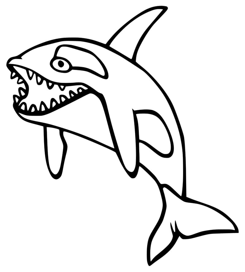 Desenho de uma Orca Engracada para Colorir