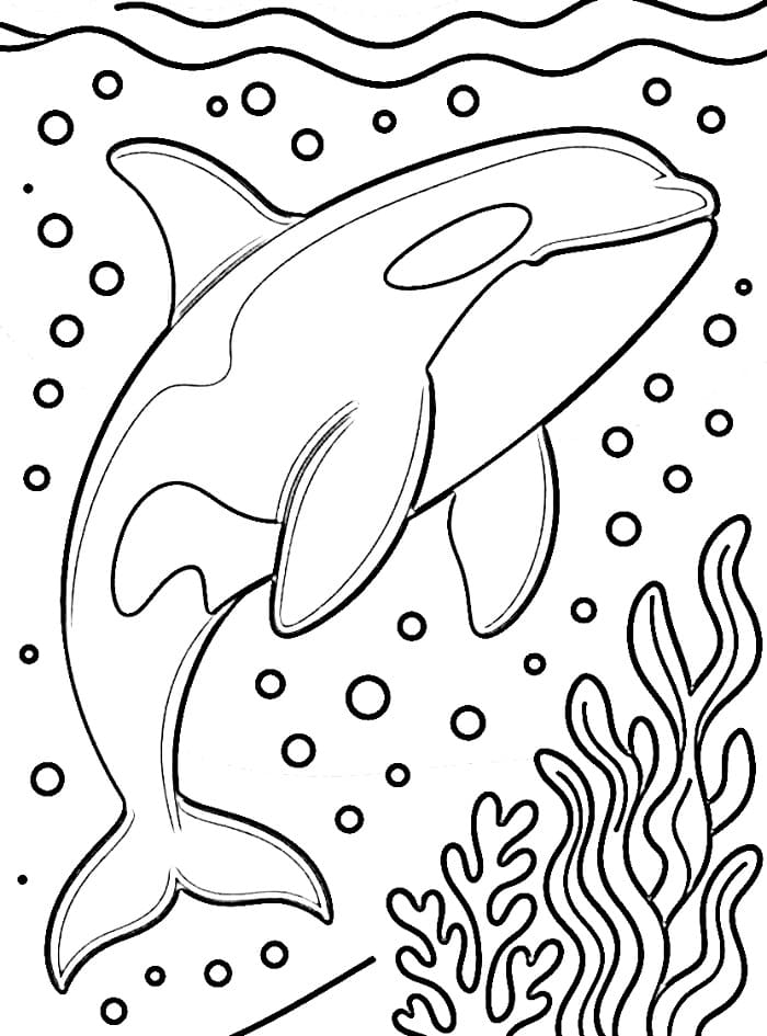 Desenho de uma Orca Feliz para Colorir