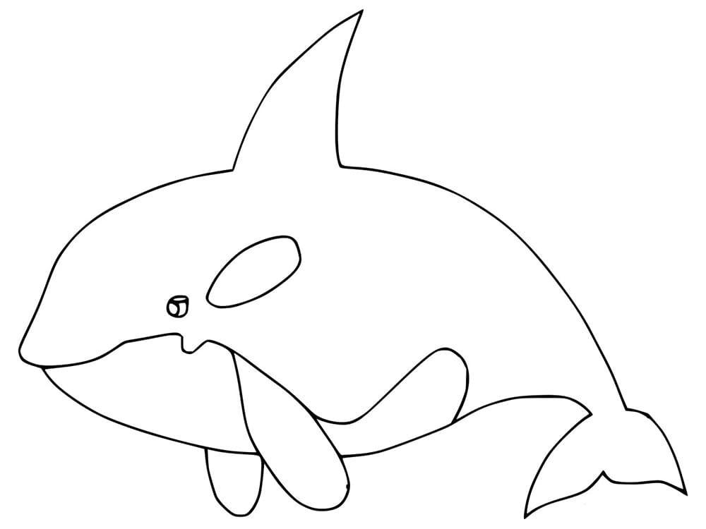 Desenhos de Orca para Colorir