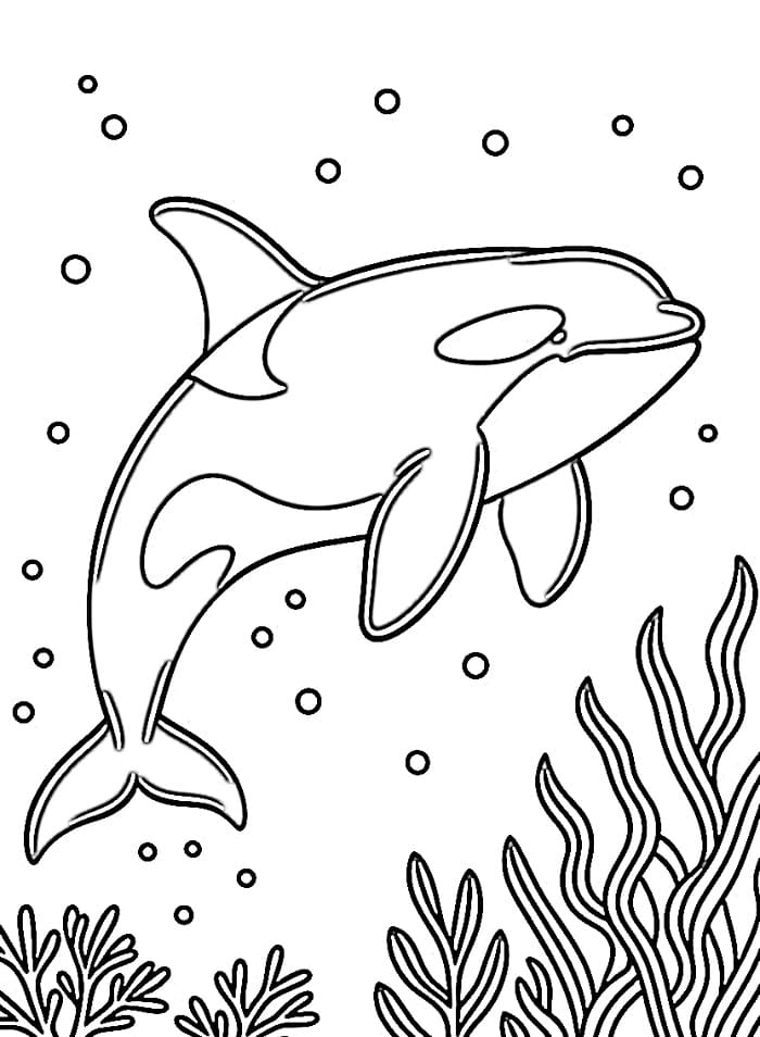 Desenho de uma Orca Simples para Colorir